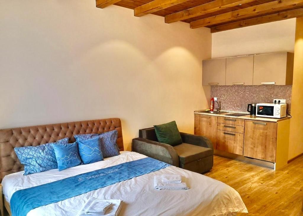 Апарт-отели Gudauri Travel Apartments in Suites (New Gudauri) Гудаури