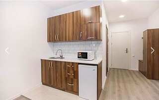 Апарт-отели Gudauri Travel Apartments in Suites (New Gudauri) Гудаури Апартаменты с видом на горы-10